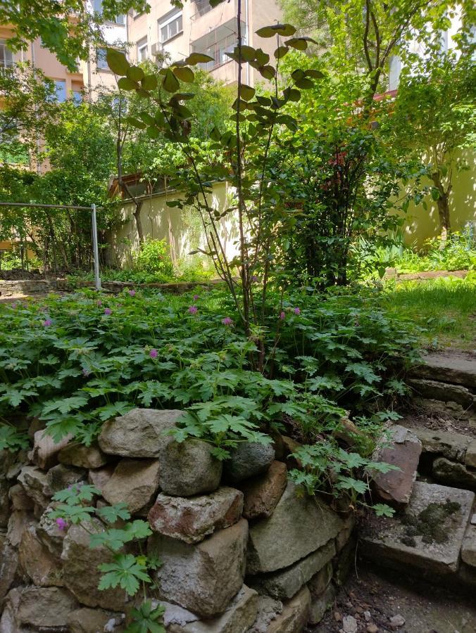Charming Central Home With Garden Near Parking And Ndk Sofya Dış mekan fotoğraf