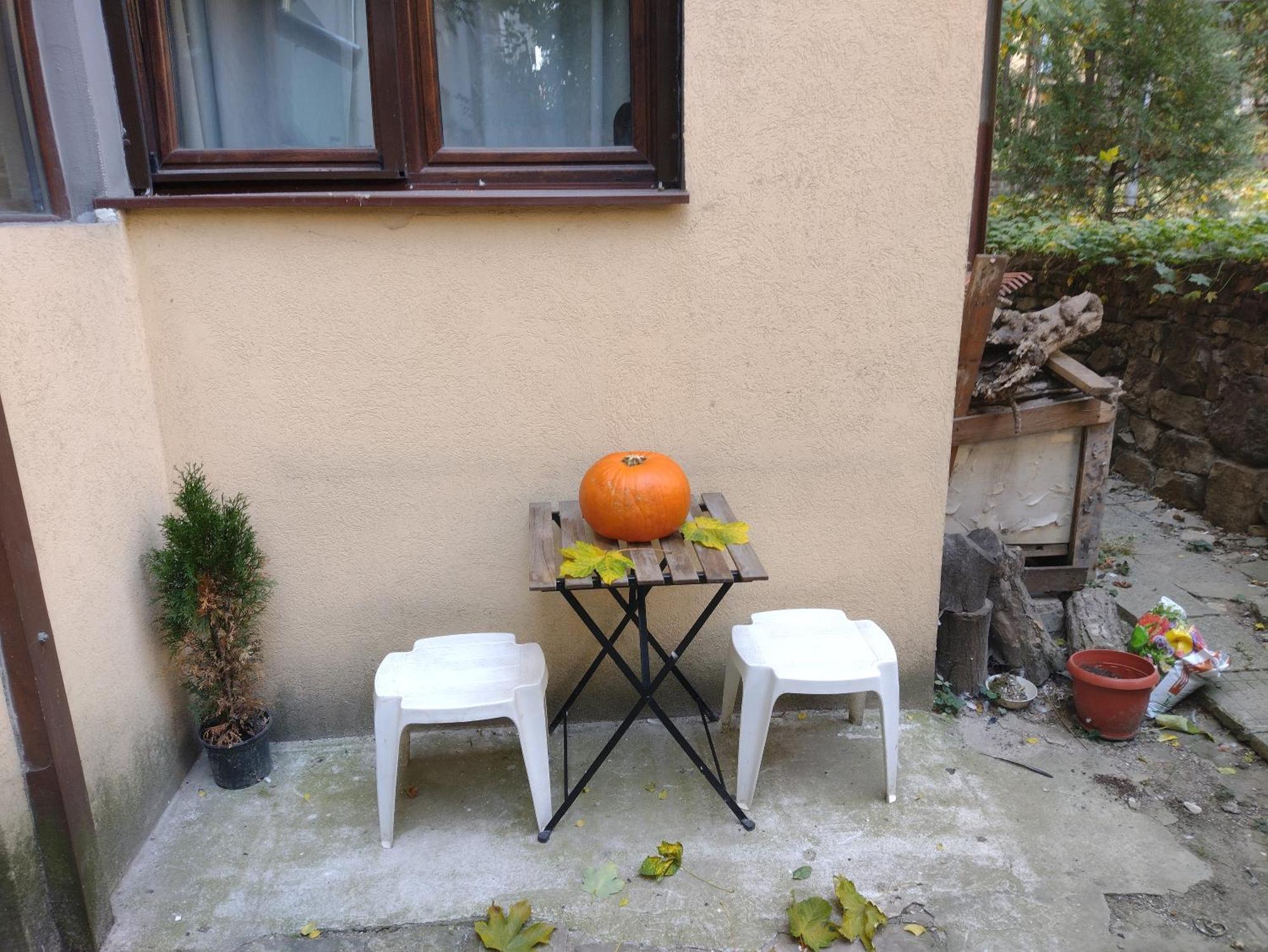 Charming Central Home With Garden Near Parking And Ndk Sofya Dış mekan fotoğraf