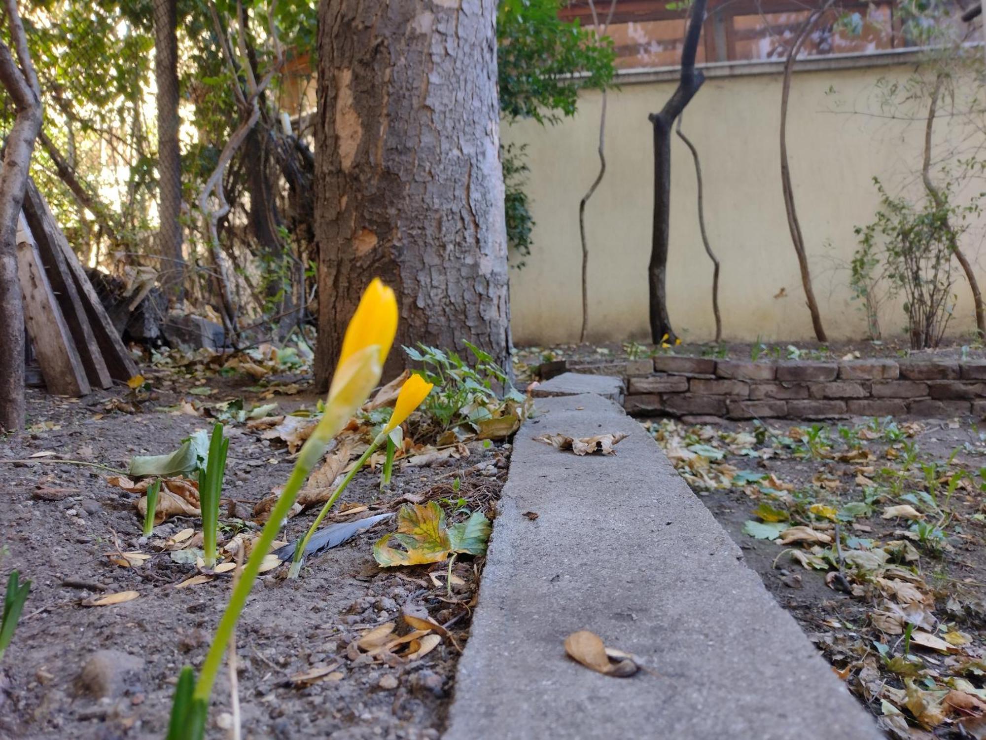 Charming Central Home With Garden Near Parking And Ndk Sofya Dış mekan fotoğraf