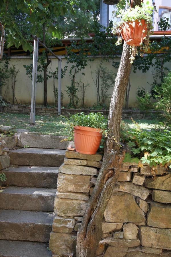 Charming Central Home With Garden Near Parking And Ndk Sofya Dış mekan fotoğraf